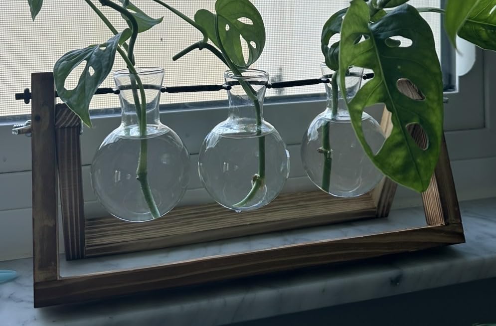 Renmxj Plant Propagation Stations with Wooden Stand & 5 Glass Bulb Vases customer photo 2