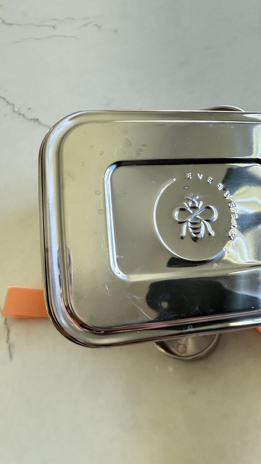 Stainless Steel Bento Box + Condiment Container - Green, 27oz / 0.8 L customer photo 1