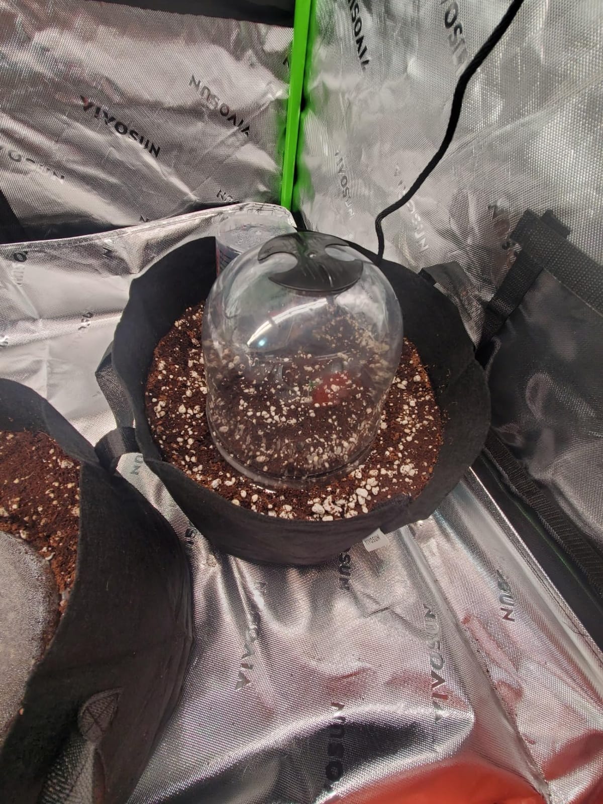MorTime 6 Pack Garden Cloche Plant Dome, 7.3