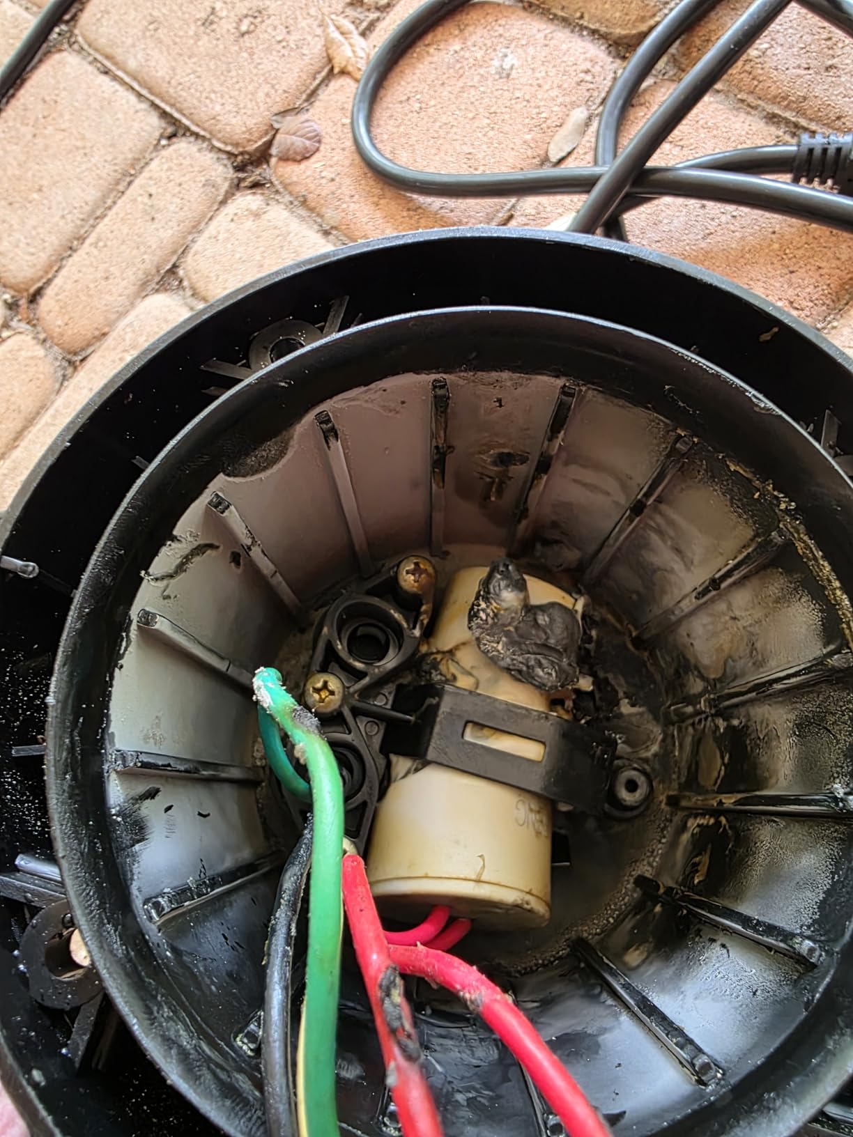 FOTING 1HP Sump Pump 4600GPH Clean/Dirty Submersible Water Pump customer photo 1