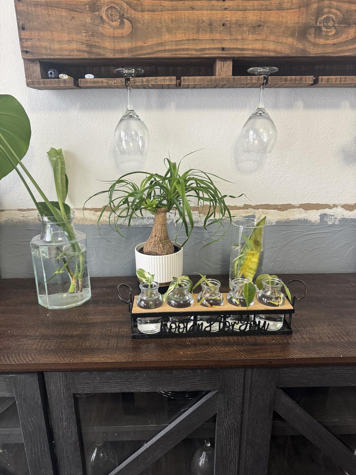 Plant Propagation Station with 5 Glass Jars, Retro Hydroponic Planter Vase customer photo 1
