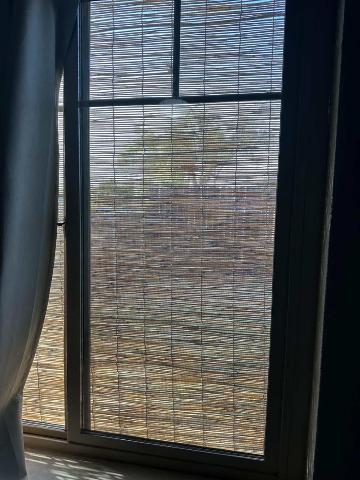 Forever Bamboo Light-Filtering Cord-Free Bamboo Reed Roll-Up Blind Shades for Windows Manual Roman Blinds Coffee 48 in W x 72 in H customer photo 1