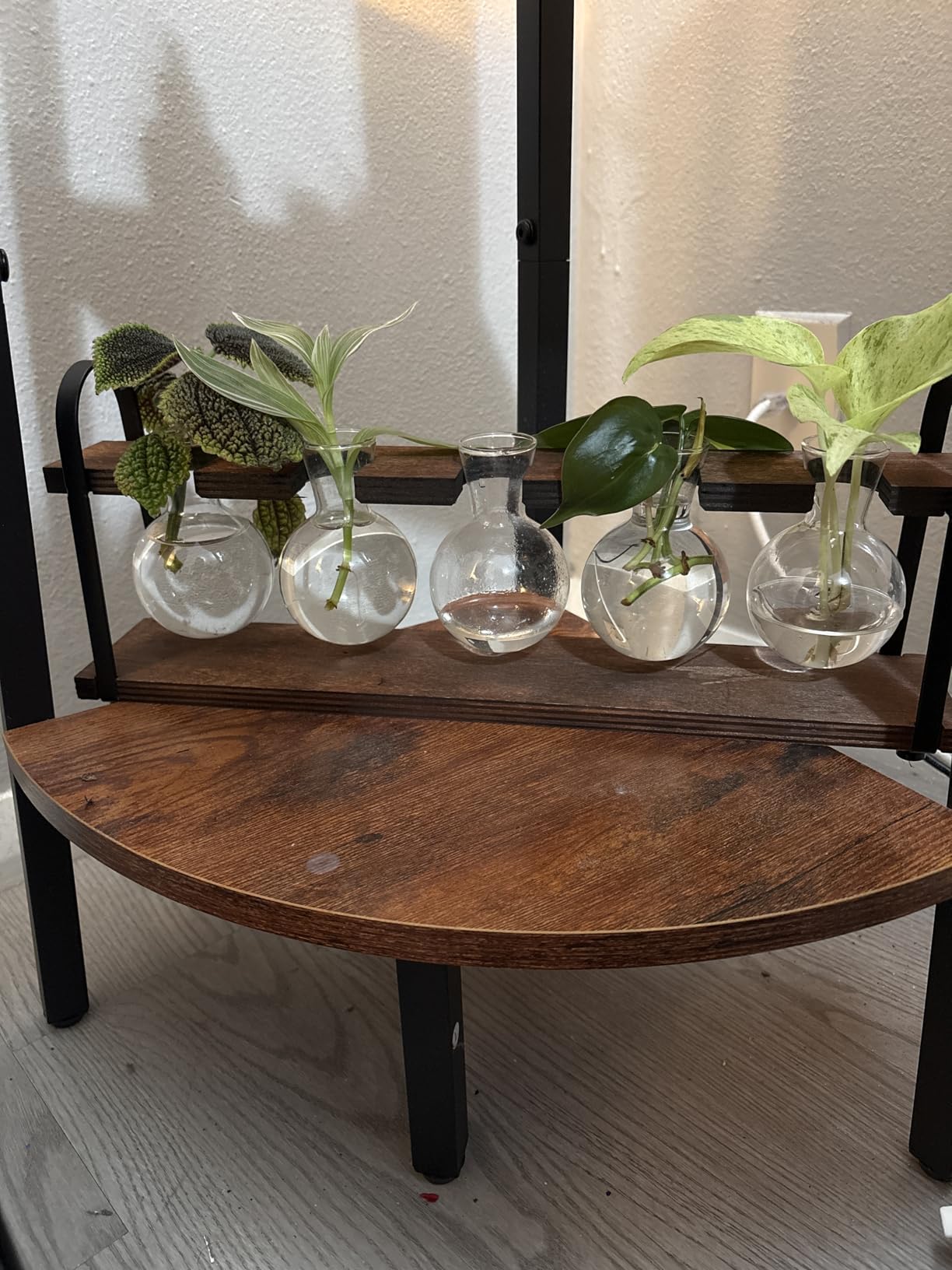 5-Bulb Plant Propagation Station, Glass Vase Terrarium, Wood Metal Stand customer photo 2