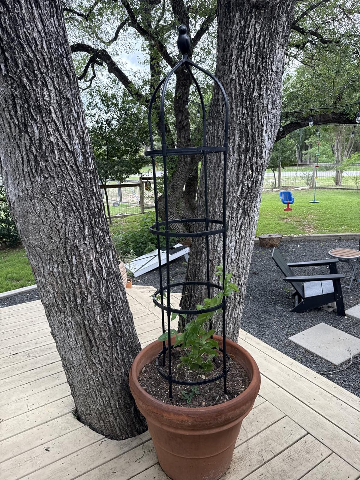 Garden Obelisk Trellis for Climbing Plants Outdoor 6 Ft Rose Bush Round Trellis for Pots Rustproof Metal Pipe with Plastic Coated Plant Flower Trellises for Clematis Vine Jasmine Support customer photo 2
