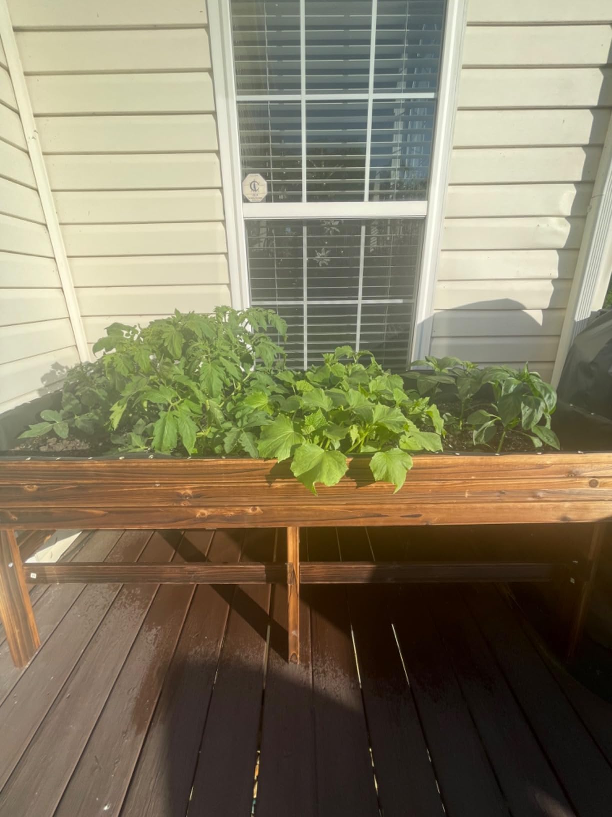 MUPATER 6x3x2FT Cedar Raised Garden Bed for Outdoor, Raised Garden Bed wit 6 Legs, 837lbs Large Elevated Garden Planter Box with Liner for Herbs,Vegetables, Rustic customer photo 1