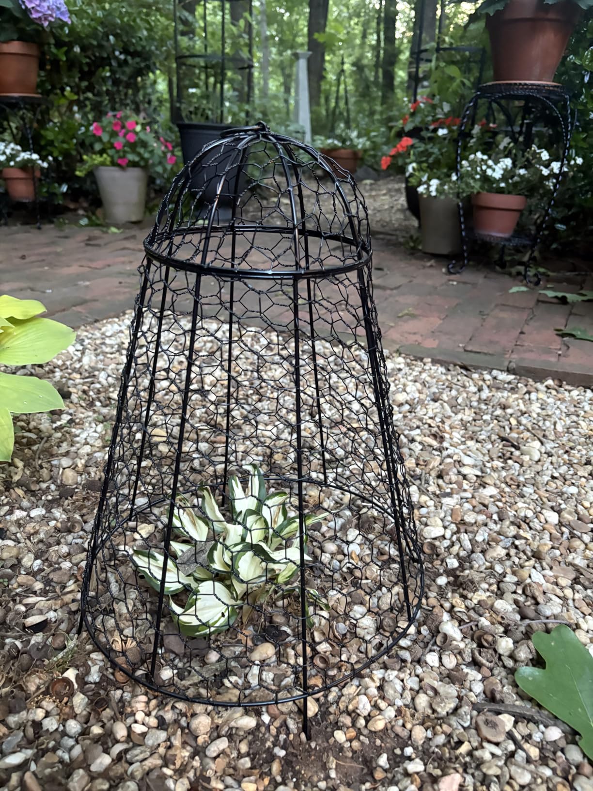 Garden Cloches for Plant Protector from Animals Chicken Wire Cages Outdoor customer photo 2