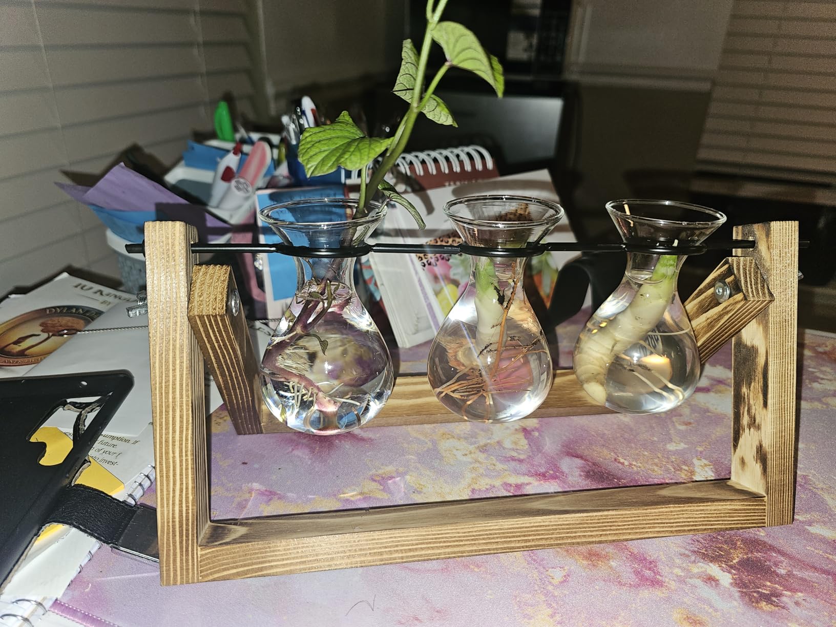YIBOT Propagation Stations,Plant Terrarium with Wooden Stand-3 Glass Vases customer photo 2
