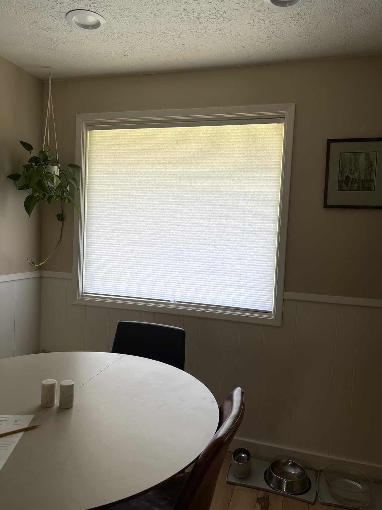 LazBlinds No Drill Cordless Cellular Shades, 22