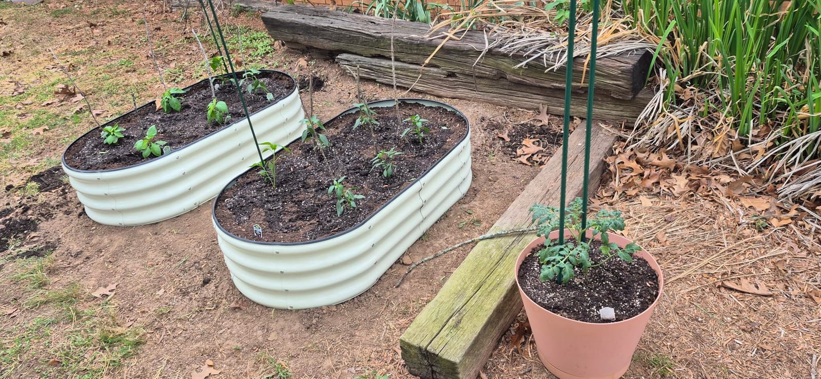 SnugNiture Galvanized Raised Garden Bed, 4x2x1ft Oval Metal Planter Box for Planting Outdoor Plants Vegetables customer photo 1