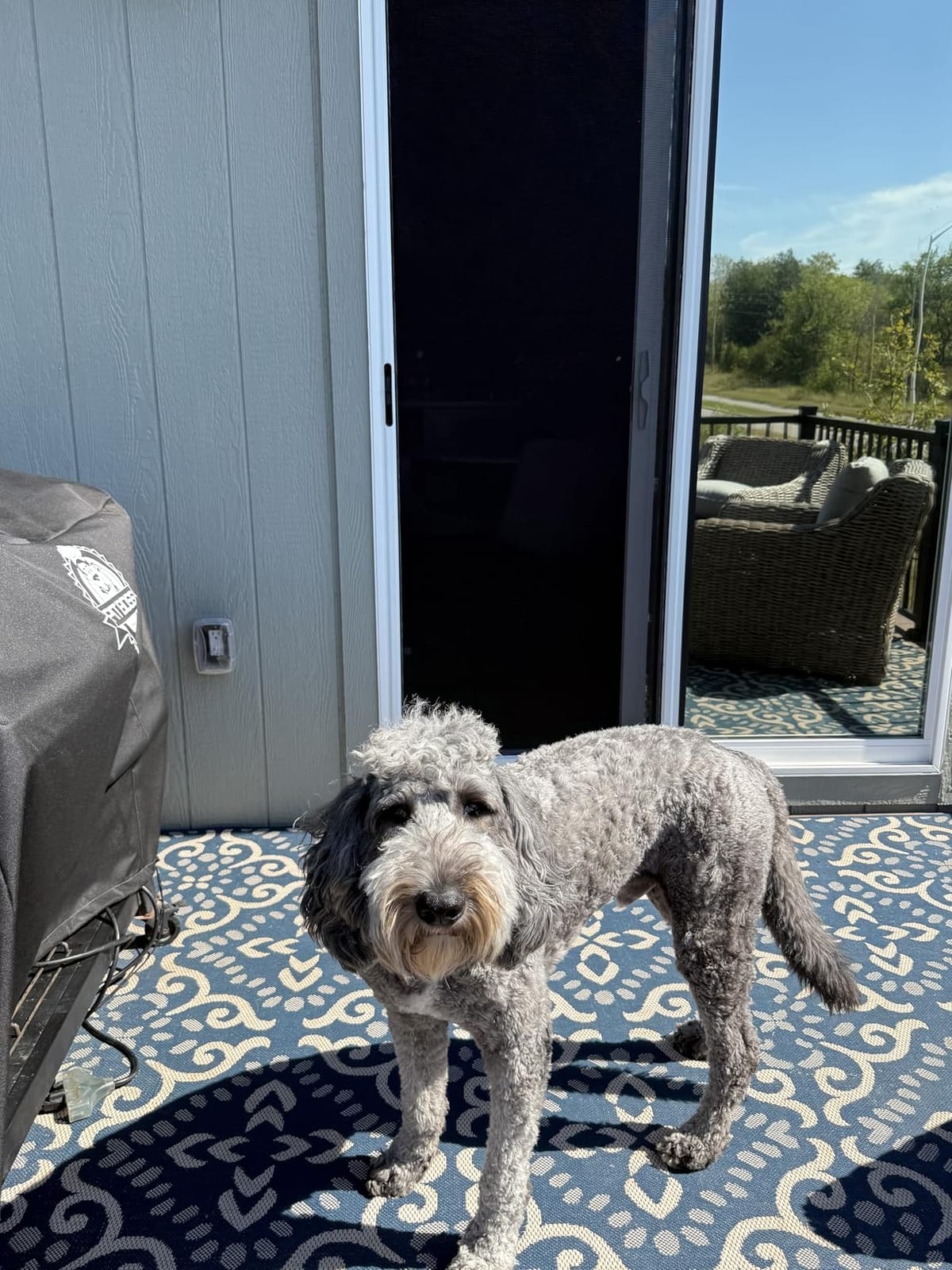 Custom Size Sliding Patio Screen Door Kit – Made to Order Aluminum Frame, Assembly Required, Locking Handle, 5 Color Options, Optional PetScreen® Mesh customer photo 2