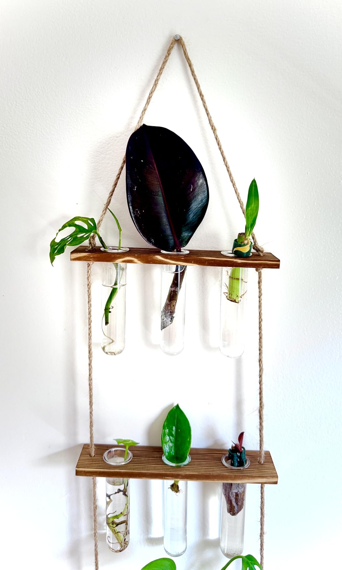 XXXFLOWER Wall Hanging Propagation Station with Wooden Stand customer photo 2