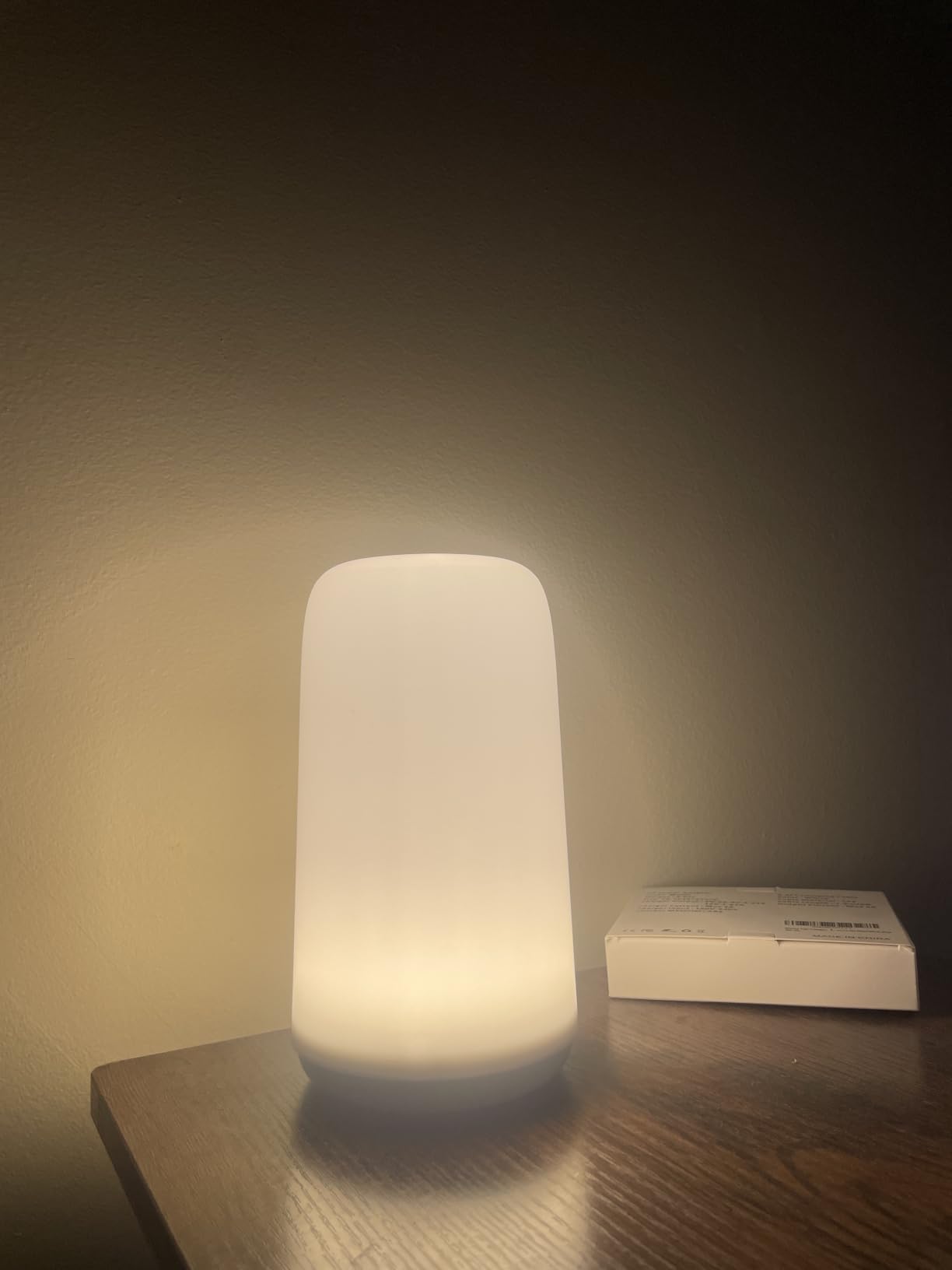 Touch Bedside Table LED Lamp, [Sleek Design & RGB Mode] Multi-Color Dimmable with Warm White Lights, Birthday Gifts for Women Mom, Smart Nightstand Small Lamp for Bedroom Living Room Home Decor customer photo 2