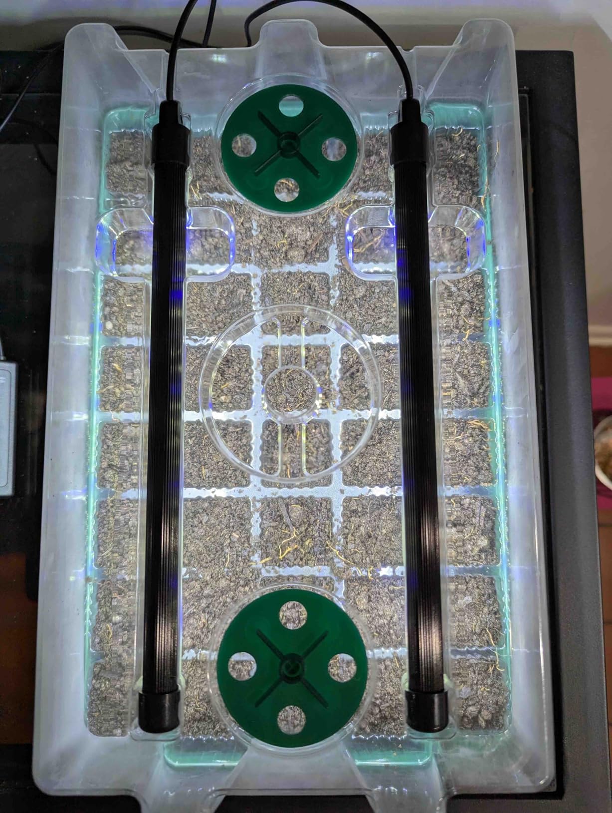 BlumWay Seed Starter Tray with Grow Light, Humidity Dome, 2 Pack 80 Cells customer photo 2