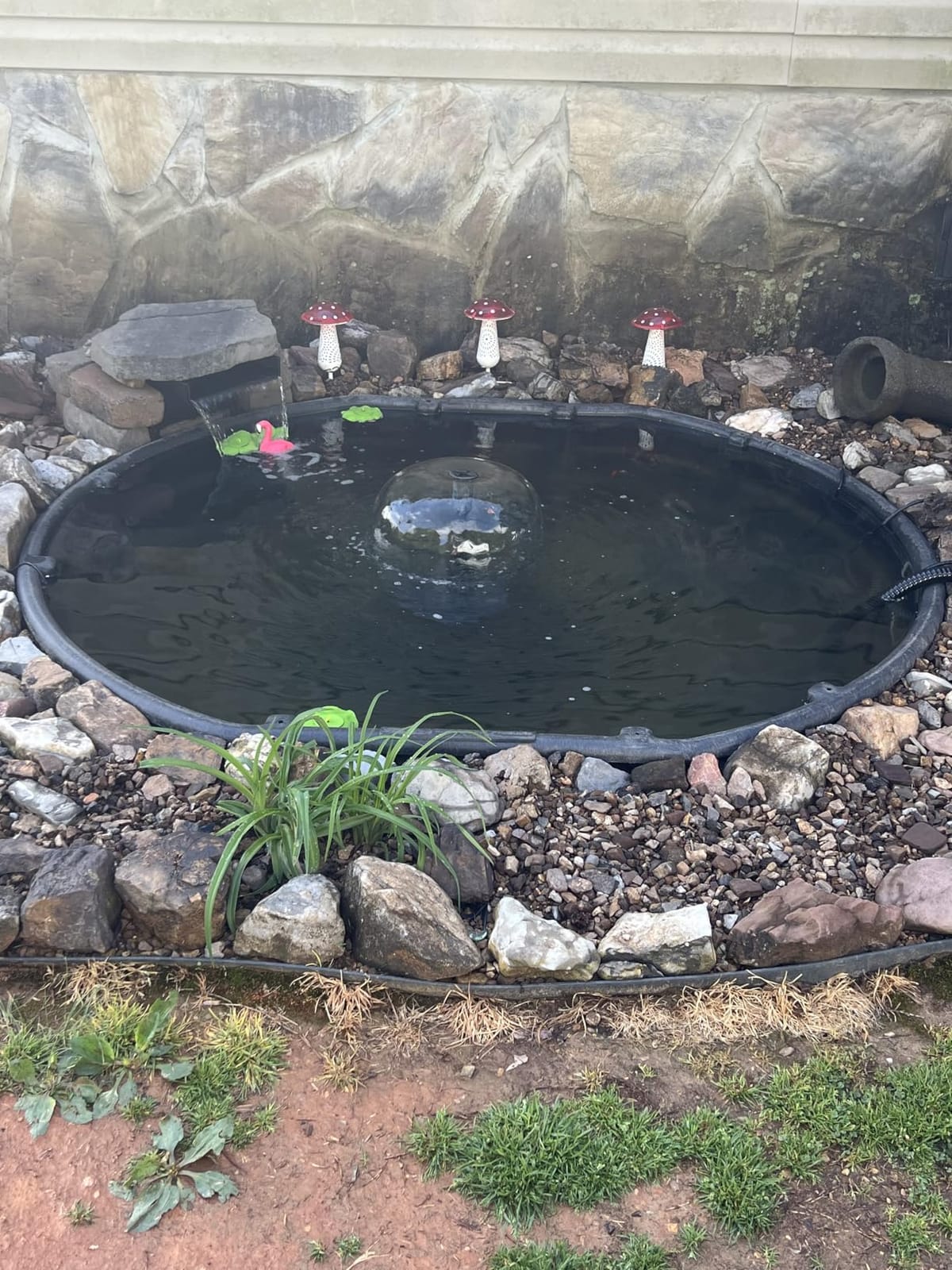 VIVOGROW Bio Pressure Pond Filter for Ponds Ranging 800–1600 Gallons customer photo 1