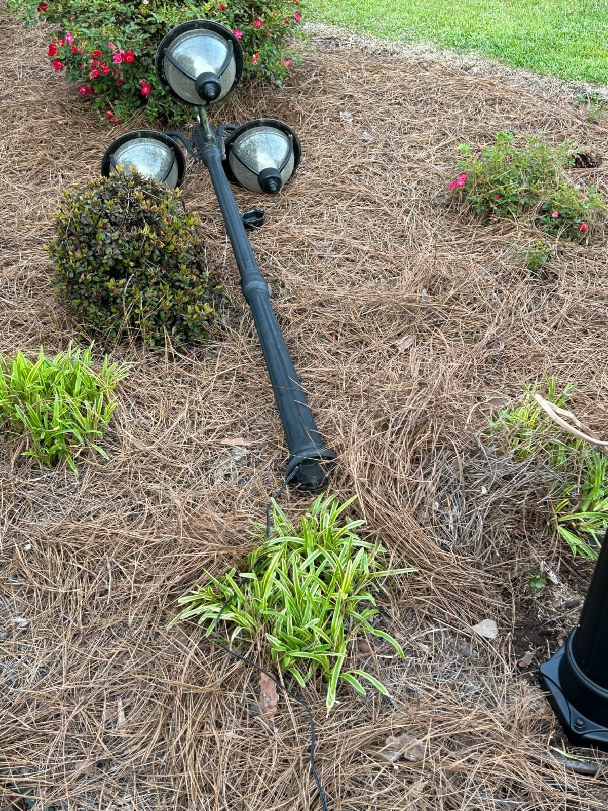 PARTPHONER Dusk to Dawn Outdoor Lamp Post Lights, Black Light Pole with Clear Glass Panels (3 LED Bulbs Included), 3-Head Hardwired Waterproof Outside Street Lights for Backyard Garden Driveway customer photo 1