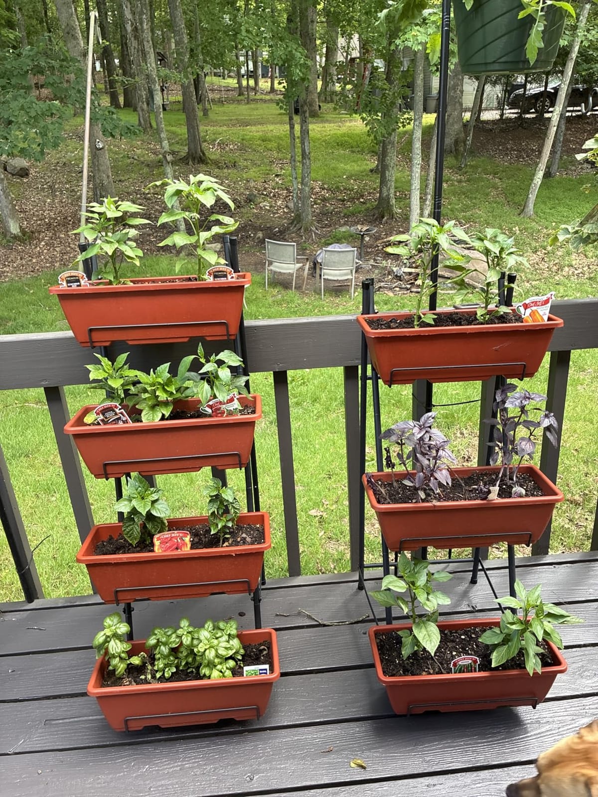 OYEAL Raised Garden Bed 4 Tier Vertical Garden Planters Indoor Outdoor Raised Planter Box with Legs Elevated Herb Garden Planter for Flowers Vegetables Plants, Black customer photo 2