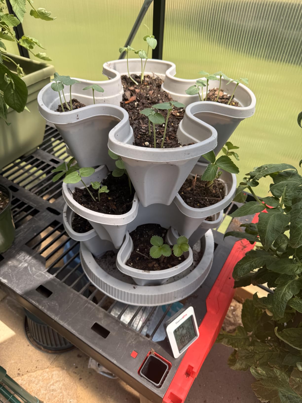 GameXcel Vertical Planter Tower - 5 Tier Stackable Garden Planters with Wheels and Tools Plant Pots for Strawberry Herb Flower and Vegetable Indoor Outdoor Use Dark Gray customer photo 2