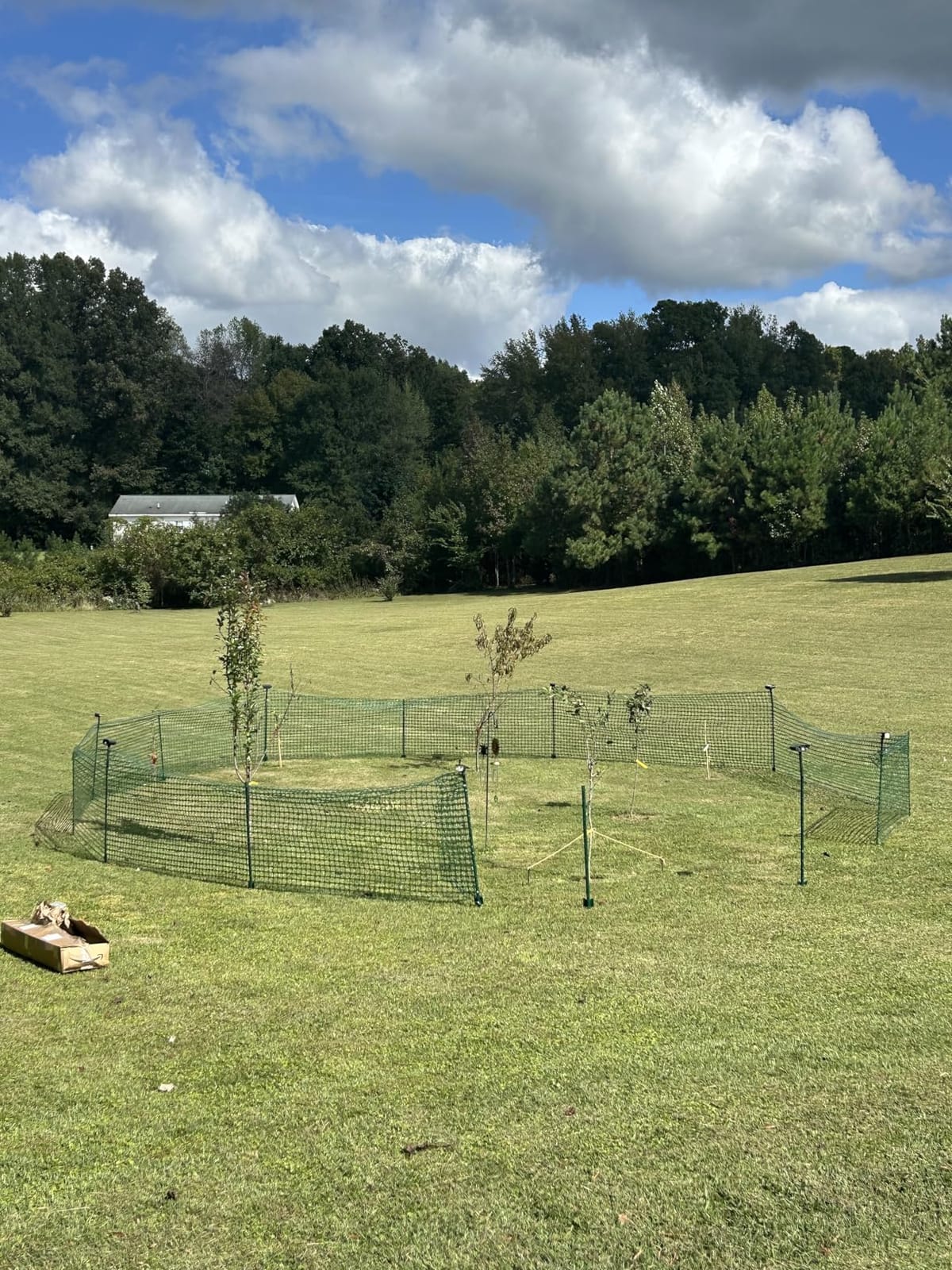 PotatoLife 4'x100' Plastic Mesh Fence for Garden with 100 Zip Ties, Green customer photo 2