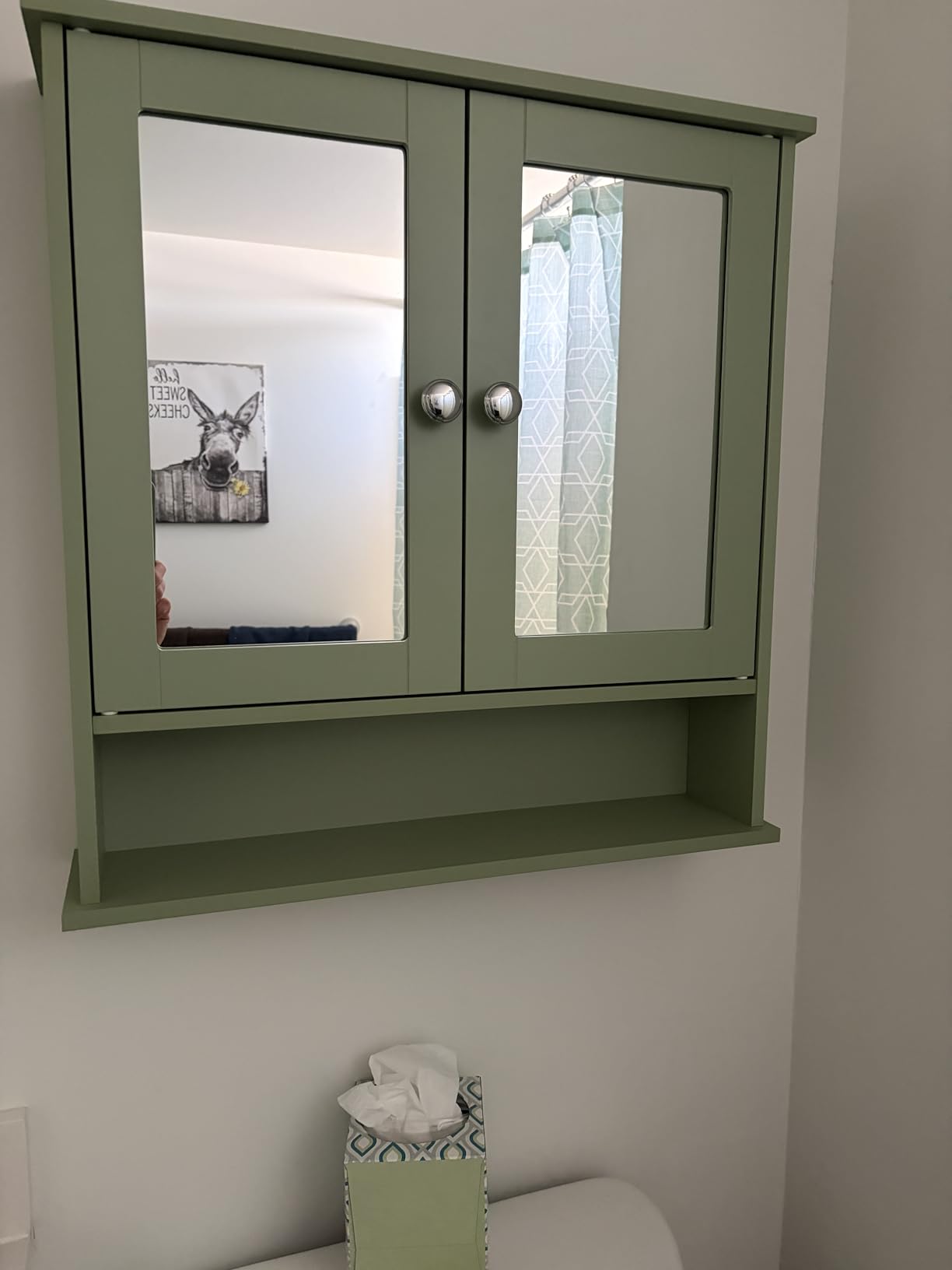 VASAGLE Bathroom Cabinet with Mirror, Wall-Mounted, 2 Mirrored Doors customer photo 1