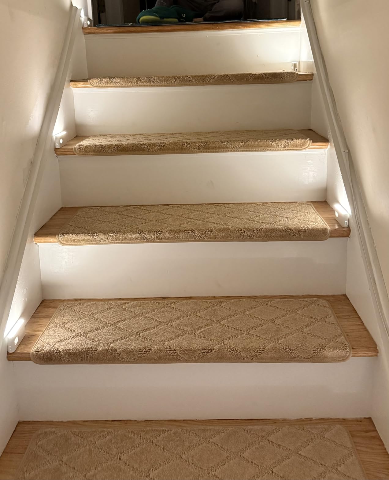 PURE ERA Bullnose Carpet Stair Treads for Wooden Steps Indoor 14 Pcs customer photo 2