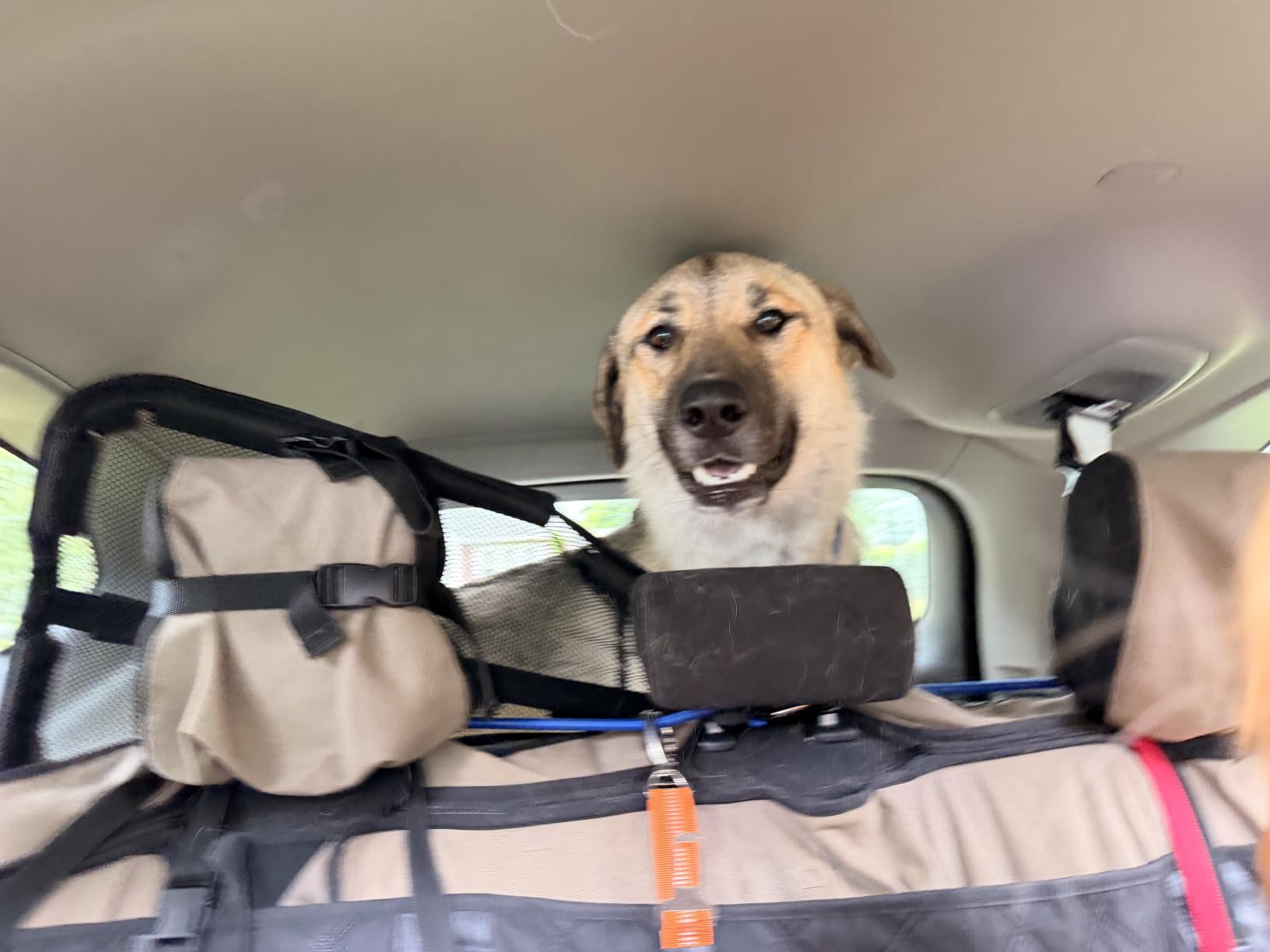 Dog Car Barrier Escape-Proof, 50
