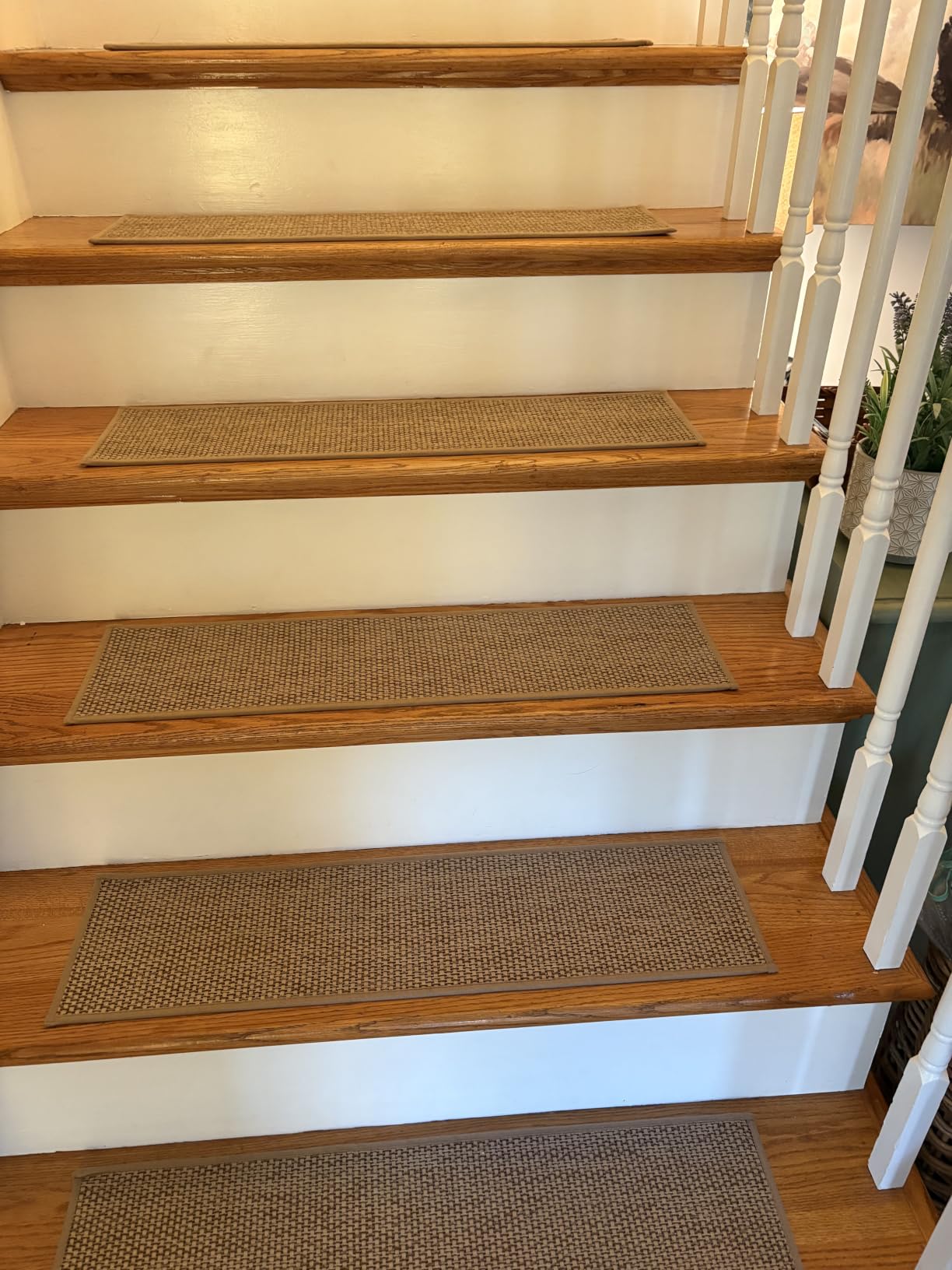 FlowaFoli Stair Treads for Wooden Steps Indoor,8