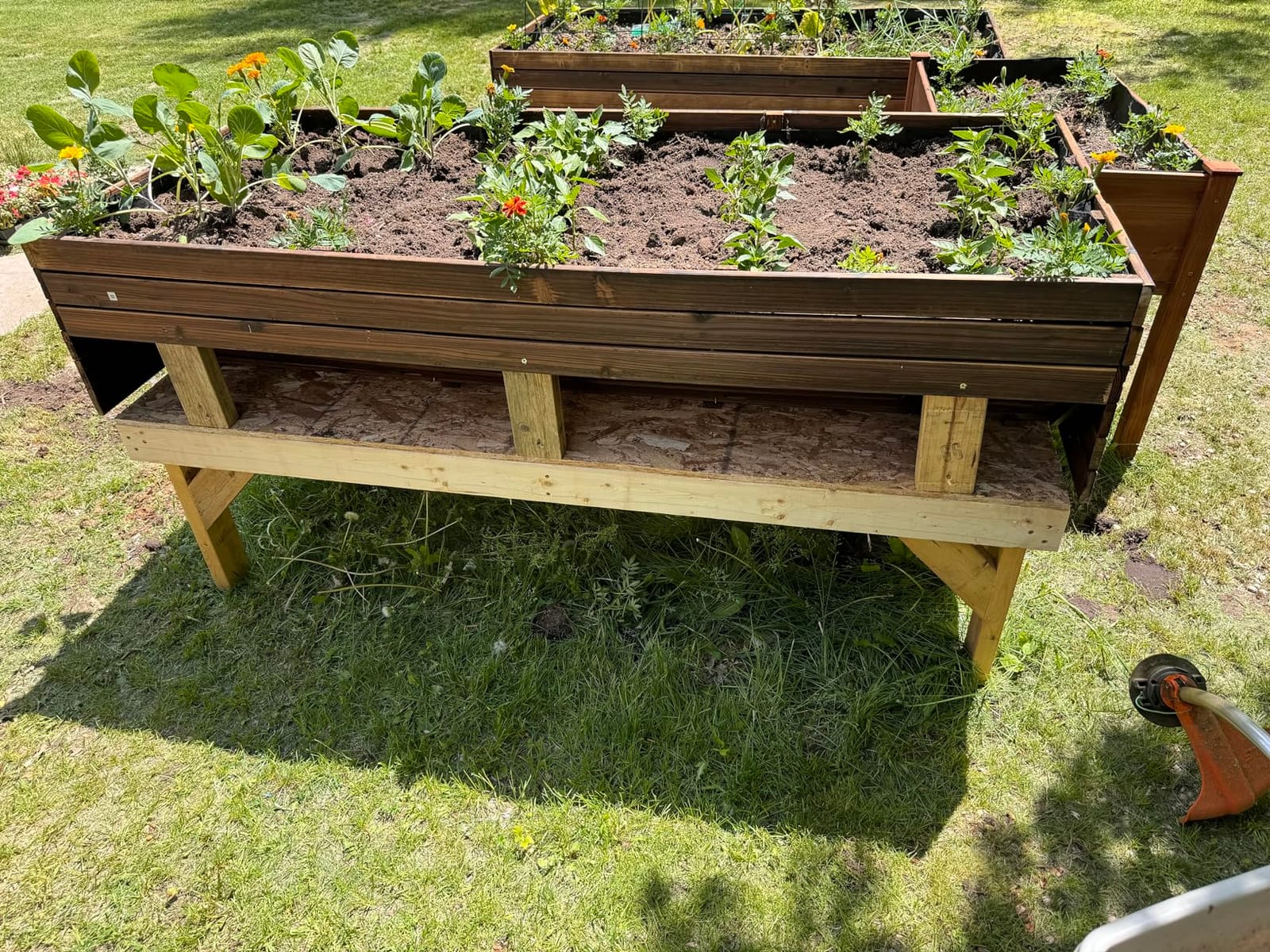 VEIKOU 6x3x2FT Raised Garden Bed, Outdoor Oversize Planter Box with Liner, Cedar Garden Bed with Legs for Vegetables Flower Herb, 837lbs Capacity, Rustic Brown customer photo 2