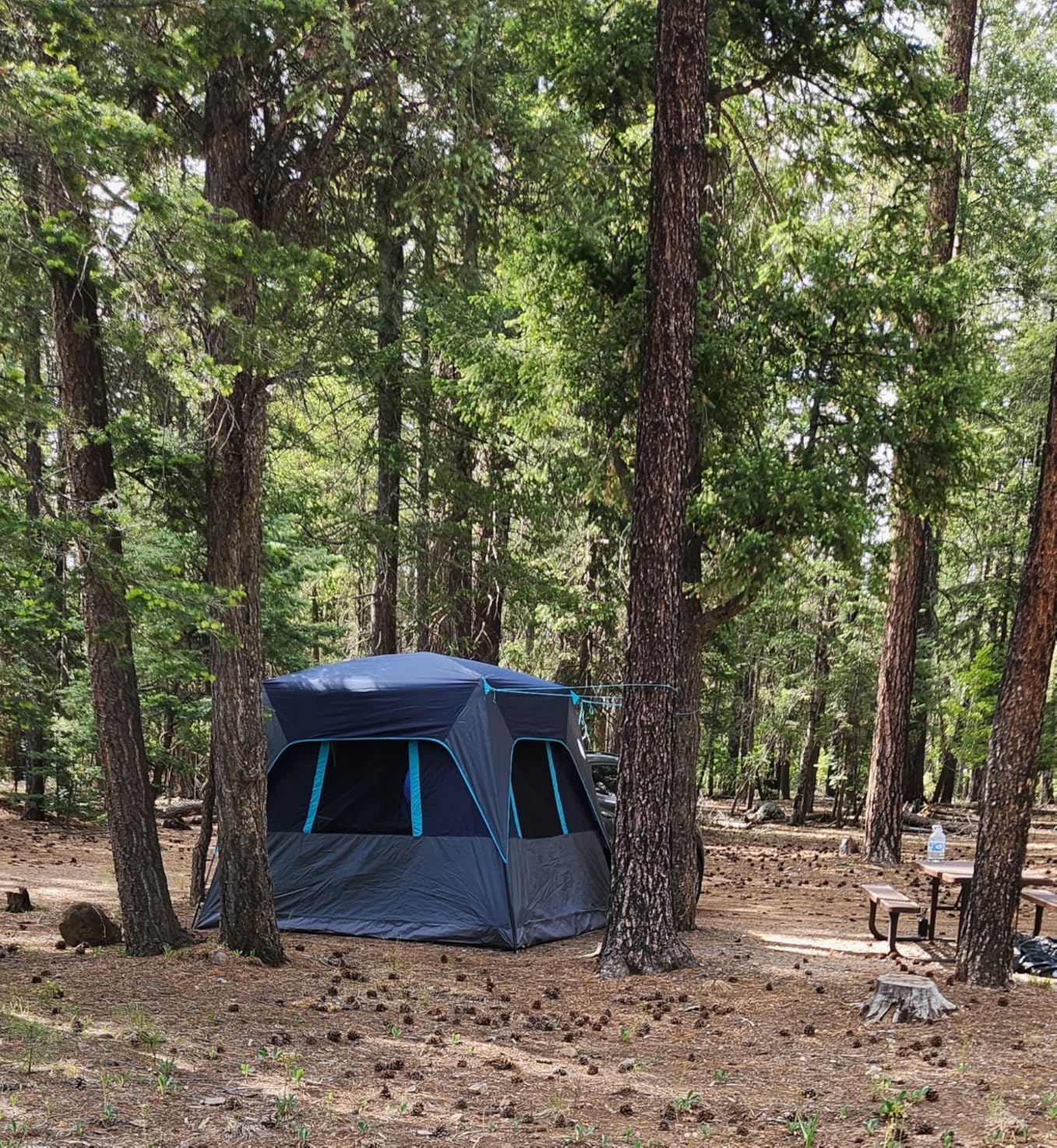 Timber Ridge Truck-Bed-Tents SUV Camping Tent customer photo 2