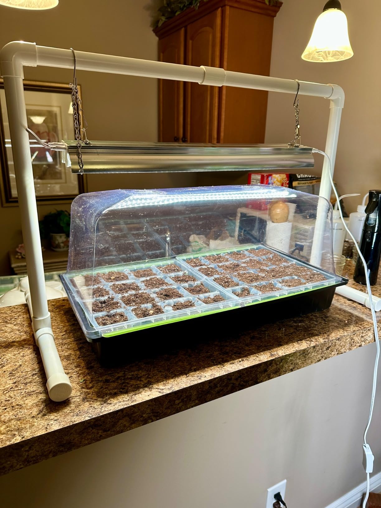 SOLIGT 1020 Size Seed Starter Kit with Grow Light and Heat Mat customer photo 1
