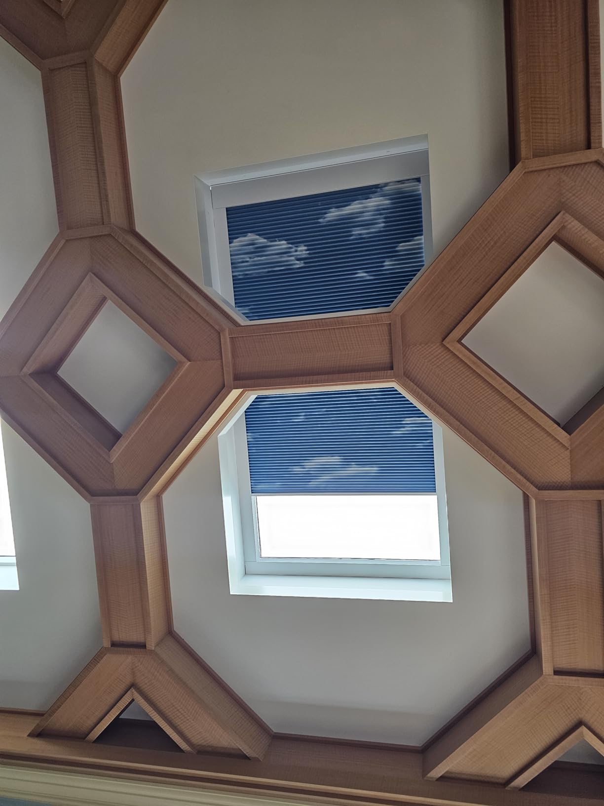 ZSTARR Motorized Blackout Cellular Skylight Shades Custom White customer photo 2