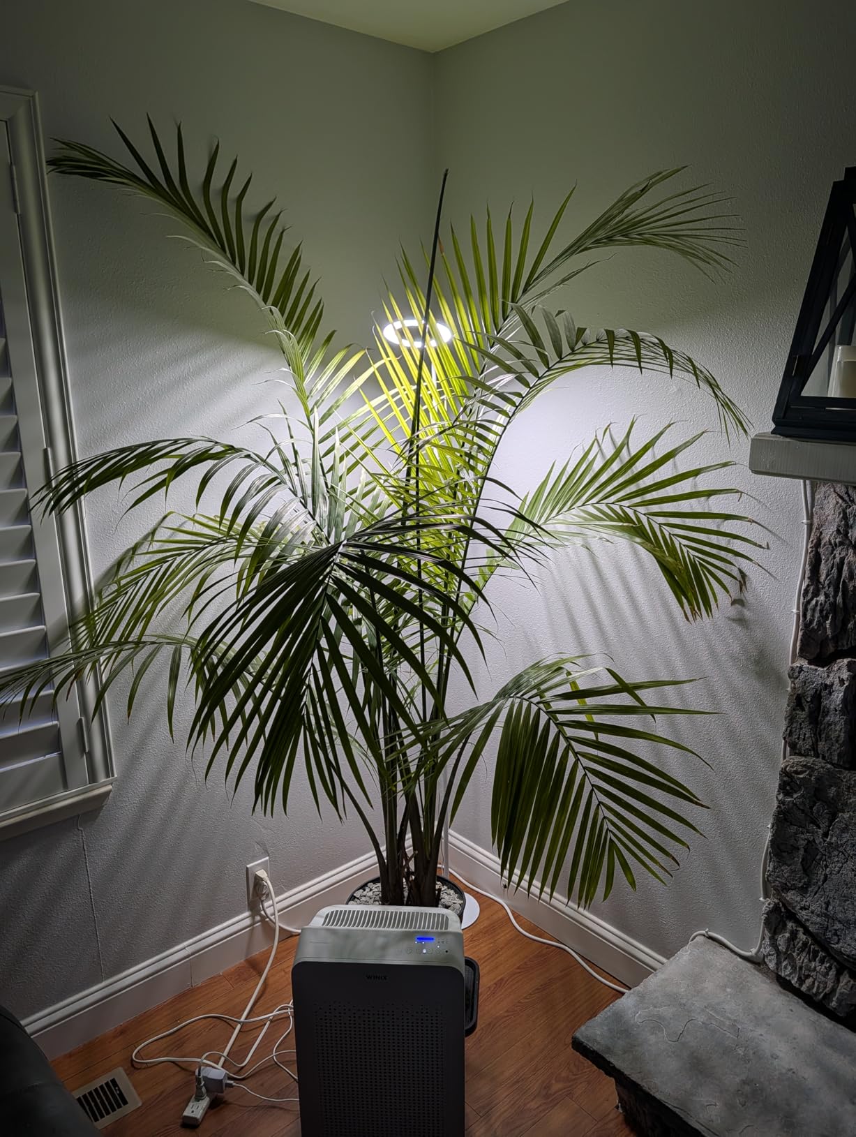 Aumtrly Floor Grow Light Full Spectrum with 68