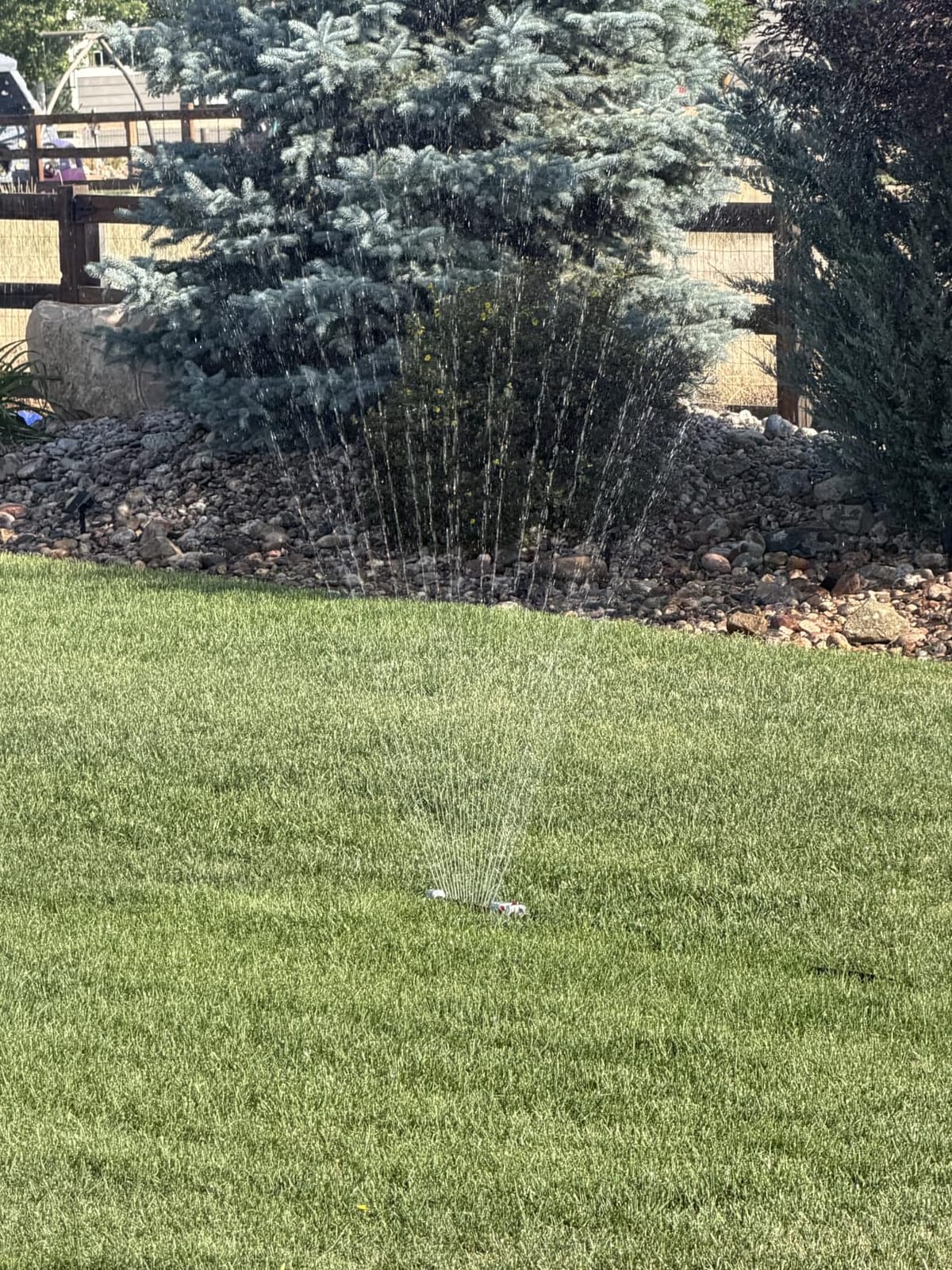 Eden 94110 Heavy-Duty Metal Oscillating Sprinkler | Covers Up to 3,315 sq. ft., 18 Precision Nozzles, Adjustable Range, Turbo Drive Motor, Quick Connect Bundle customer photo 2