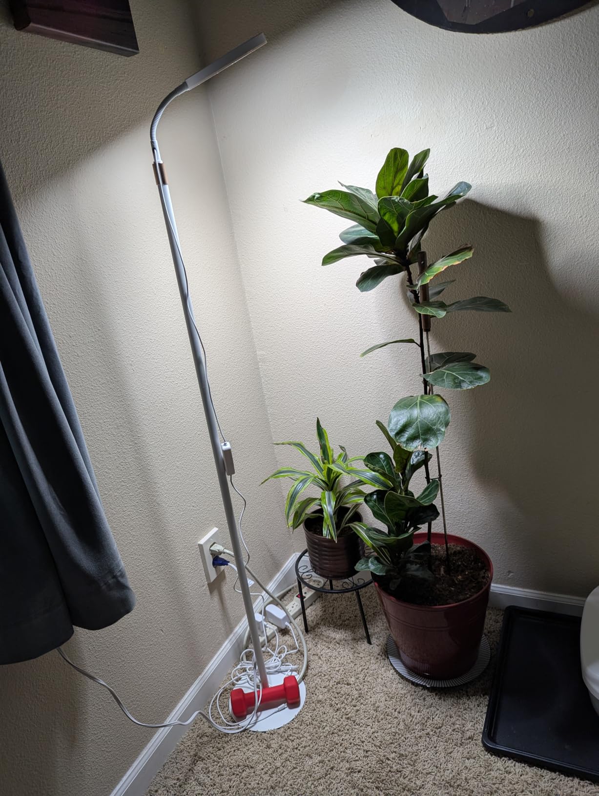 LBW Grow Light with Stand for Indoor Plants, Adjustable Height up to 68
