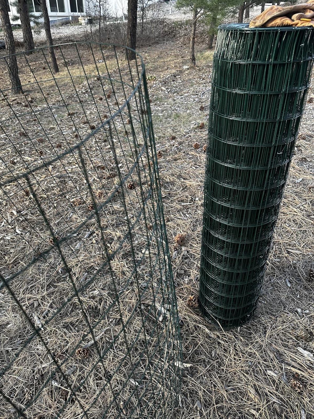 Green Metal Garden Fence,72inch(H) x 50ft(L),2 inch x 4 inch,12.5GA Coated (14GA Bare) 2/3/4/5/6 Ft Tall Chicken Wire PVC Coated Welded Wire Mesh Roll for Dogs Border Yard Vegetable Plant Poultry customer photo 2