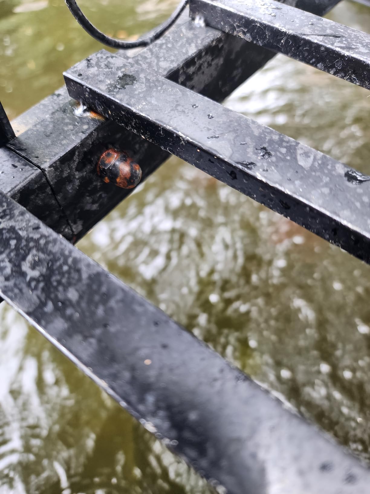 Garturects Metal Garden Bridge 8 FT - Durable Decorative Footbridge with Siderails Large Outdoor Bridges, Weight Capacity 770 lbs for Backyard, Creek, Lawn, Stream customer photo 1