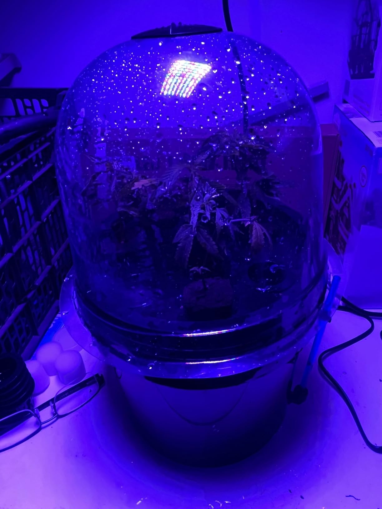 Hydroponics Seedling Cloning System Kit Fog Seedling Box 8 Holes 5L Soilless Hydroponic Equipment Seedling Cultivation, Aeroponic Propagation Kit Hydroponics Planting Growing Kit customer photo 1