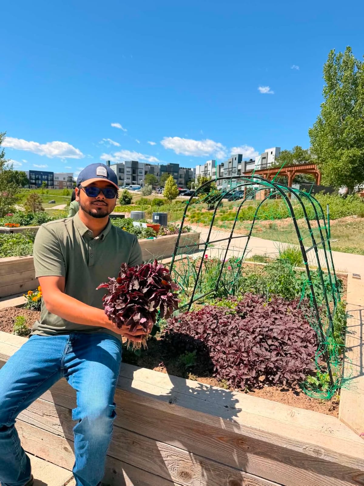 Cucumber Trellis for Raised Bed,U-Shape Garden Trellis for Climbing Plants Outdoor, Metal Arch Vegetables Trellis, Plant Support for Vine (Green, 47.2x47.2 X21.6) customer photo 1