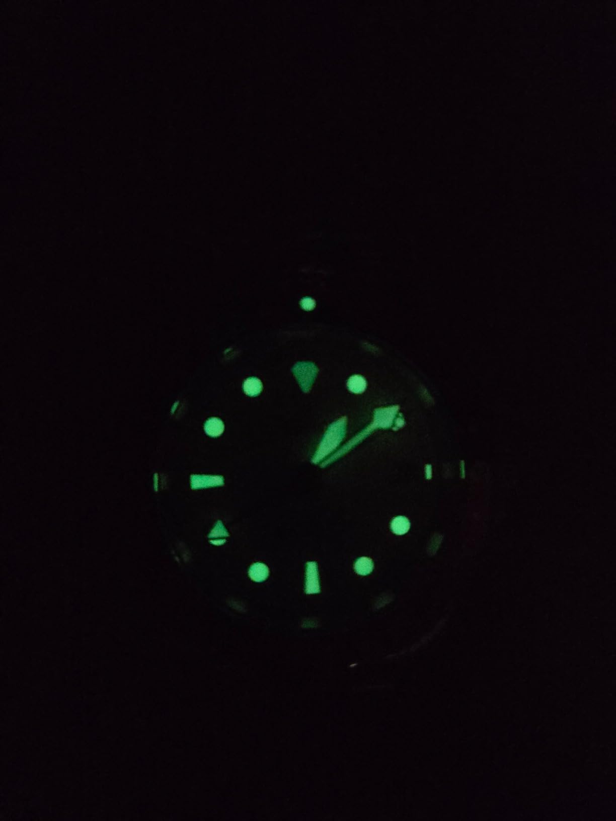 RATIO FreeDiver Dive Watch Sapphire Crystal GMT Rotating Bezel Automatic Diver Watch 200M Water Resistant Diving Watch for Men customer photo 2