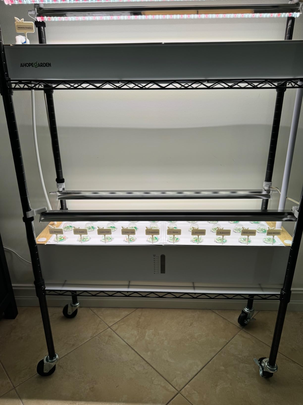 Ahopegarden Hydroponics Growing System Indoor Garden, 44 Pods Plant Herb Garden Germination Kit with LED Grow Light, 20L Double-Layer Large Capacity Hydrophonic Planter Grower for Vegetable Fruit customer photo 1