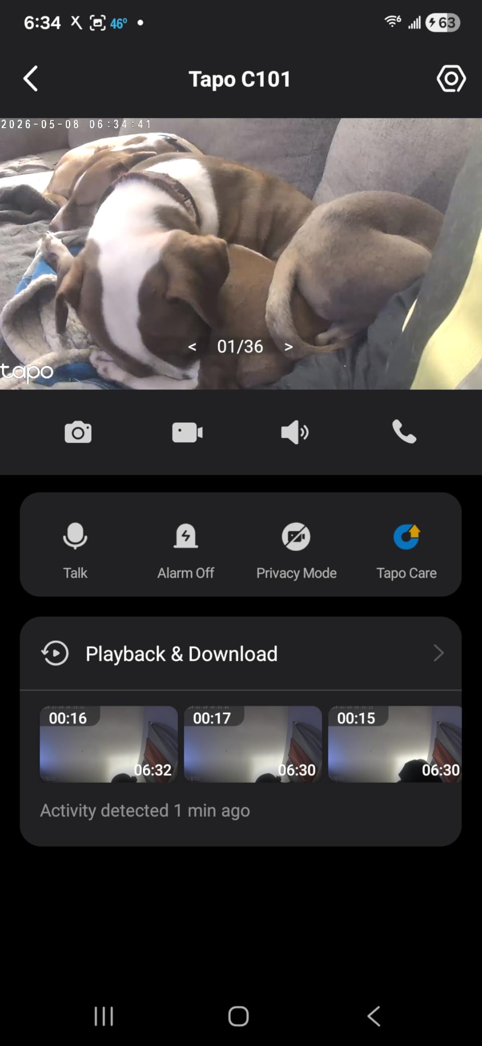 Tapo 1080P Indoor Security Camera, Baby Monitor, Dog Camera, C100(4-Pack) customer photo 1