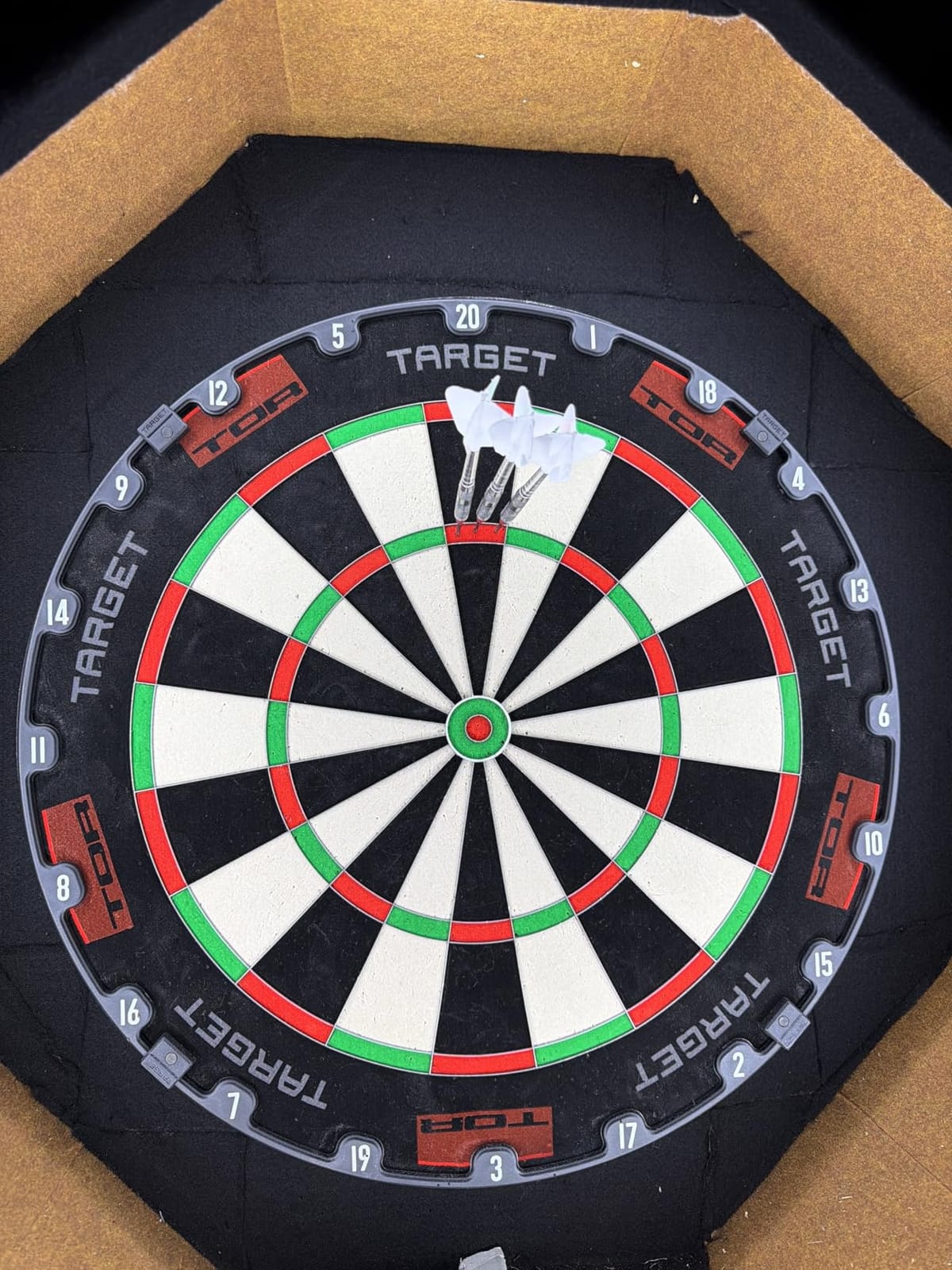 Target Darts TOR Dartboard, Steel Tip Dart Board | Competition Standard Steel Tip Dartboards with Fixing Kit, Modern Rotational Number Ring, Premium Madagascan Sisal, Stainless Steel Thin Wire System customer photo 1