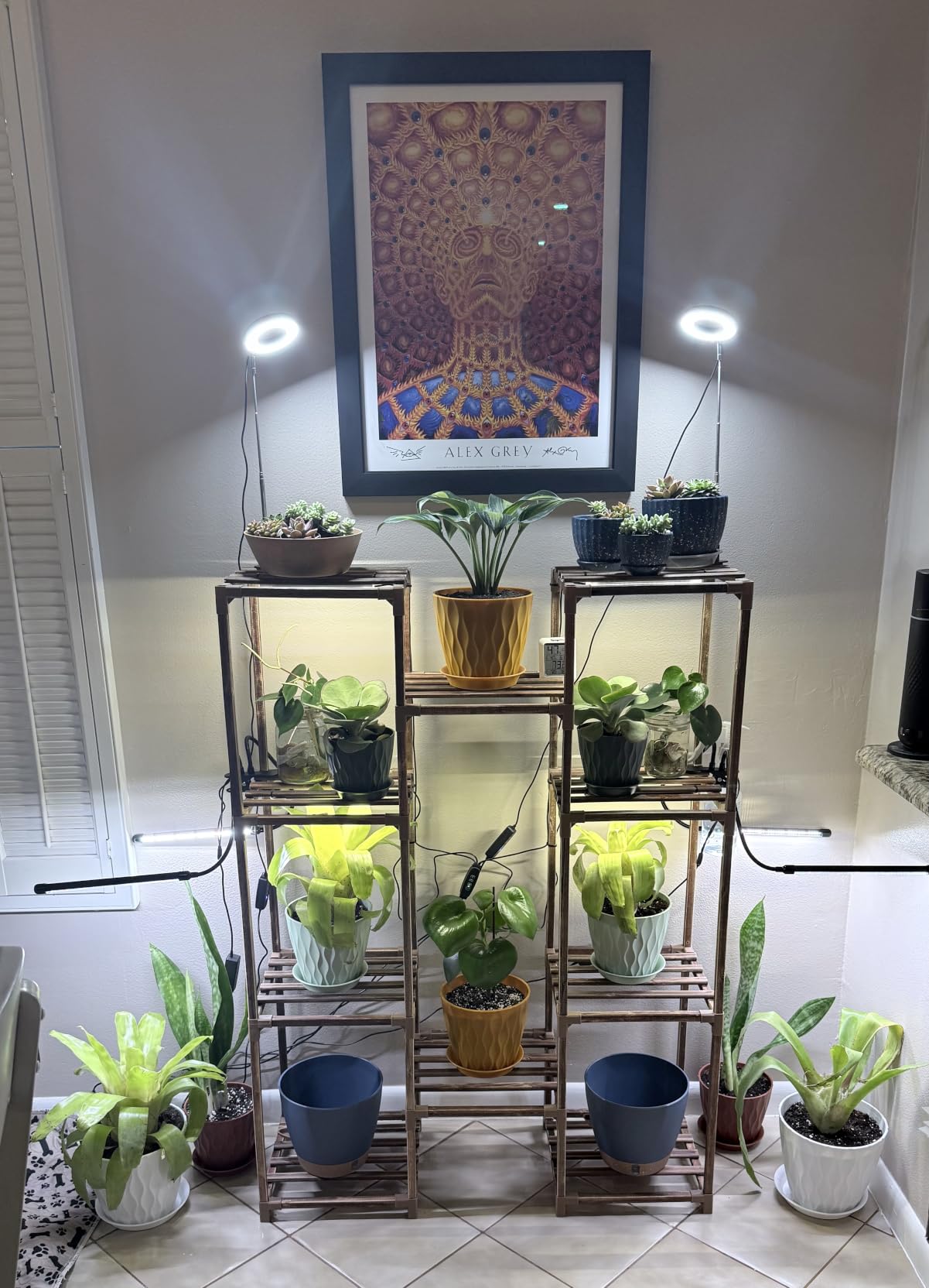 Bamworld Plant Stand with Grow Light Plant Shelf for Mutiple Pots Large Plant Holder for Living Room Patio Boho Home Decor for Gardening Warm Light customer photo 2