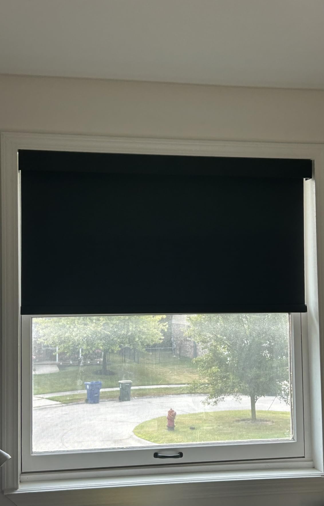 Persilux Blackout Roller Blinds for Indoor Windows, Cordless Roller Shades with Valance, Thermal Insulated Fabric Window Shades & Blinds, UV Protection Shades for Home and Bedroom (Black,46