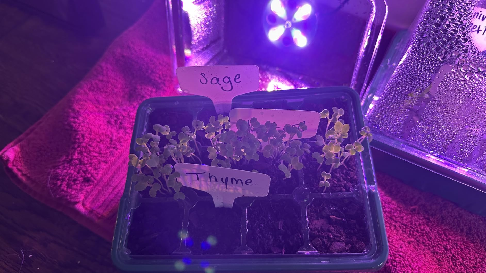MIXC 6 Pack Seed Starter Kit with Grow Light, Vented Humidity Dome, Green customer photo 1