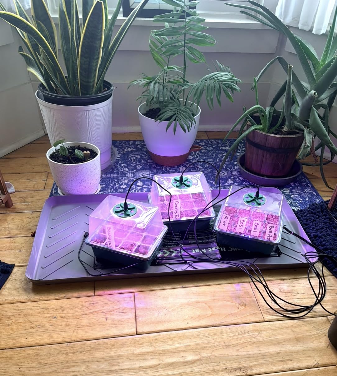 MIXC 6 Pack Seed Starter Kit with Grow Light, Vented Humidity Dome, Green customer photo 2