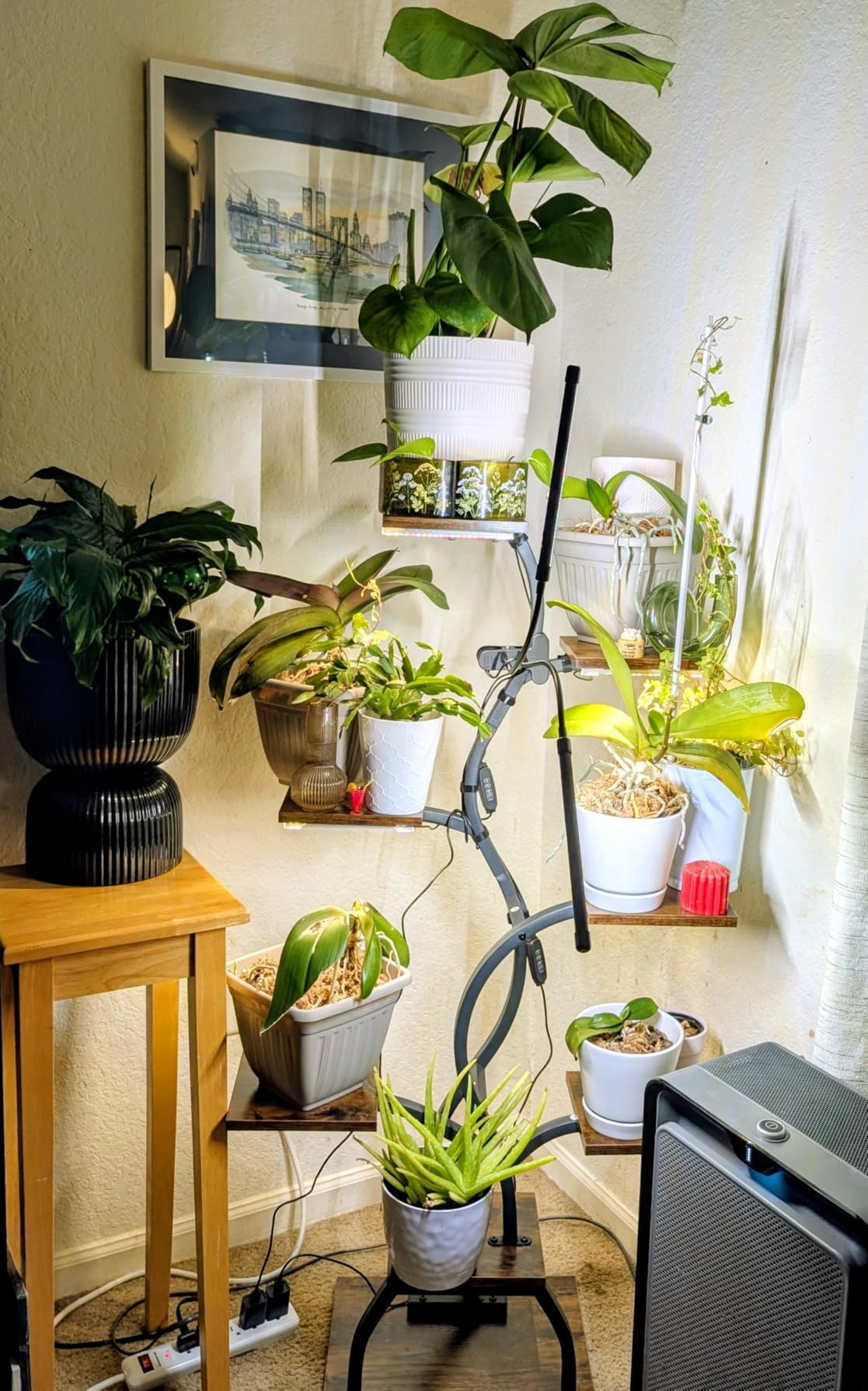 Plant Stand Indoor with Grow Light - 8 Tiered Corner Plant Shelf Indoor customer photo 2