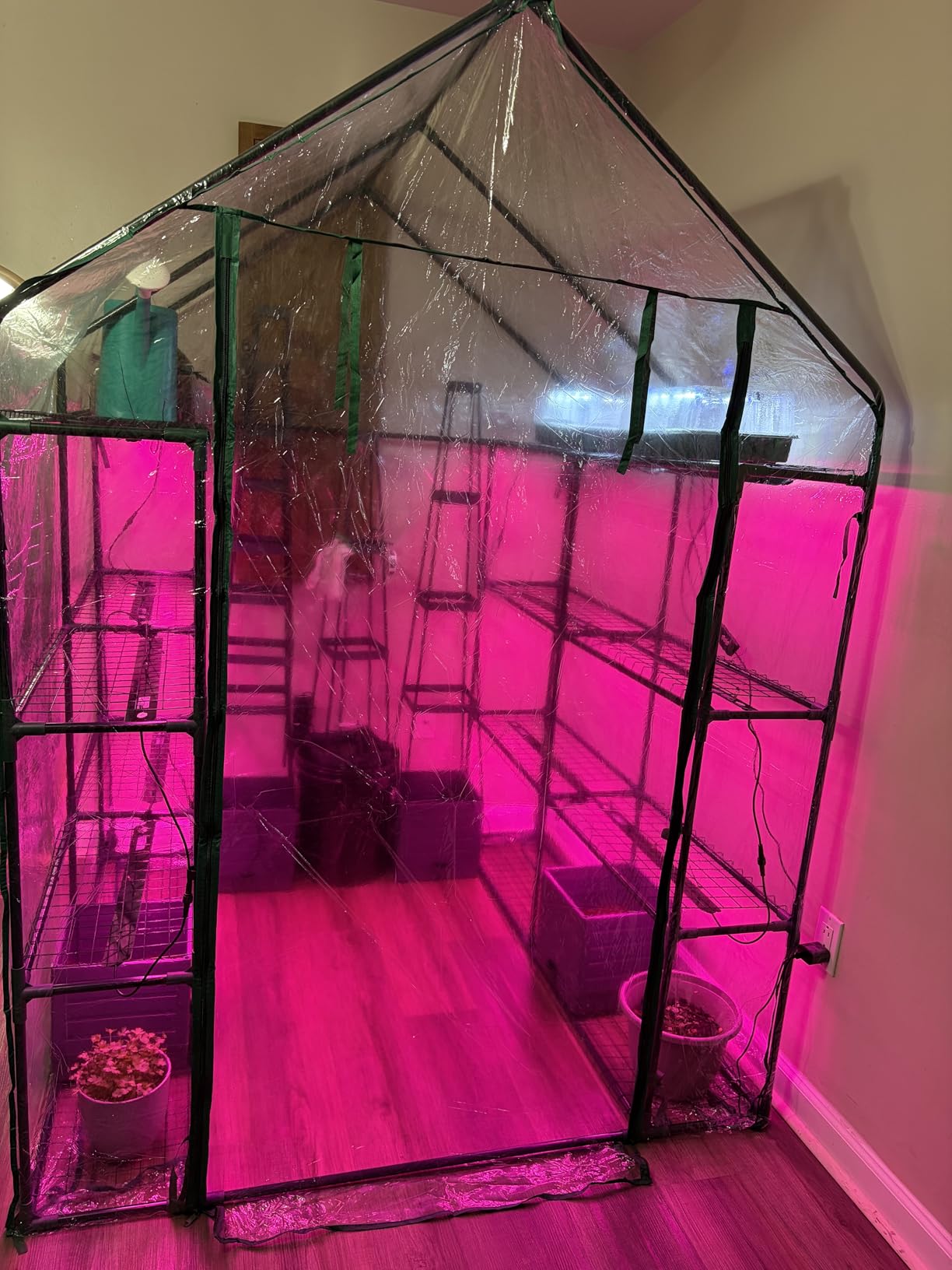 Bstrip Indoor Greenhouse with Grow Light, 4x20W Plant Lights with Timer customer photo 2