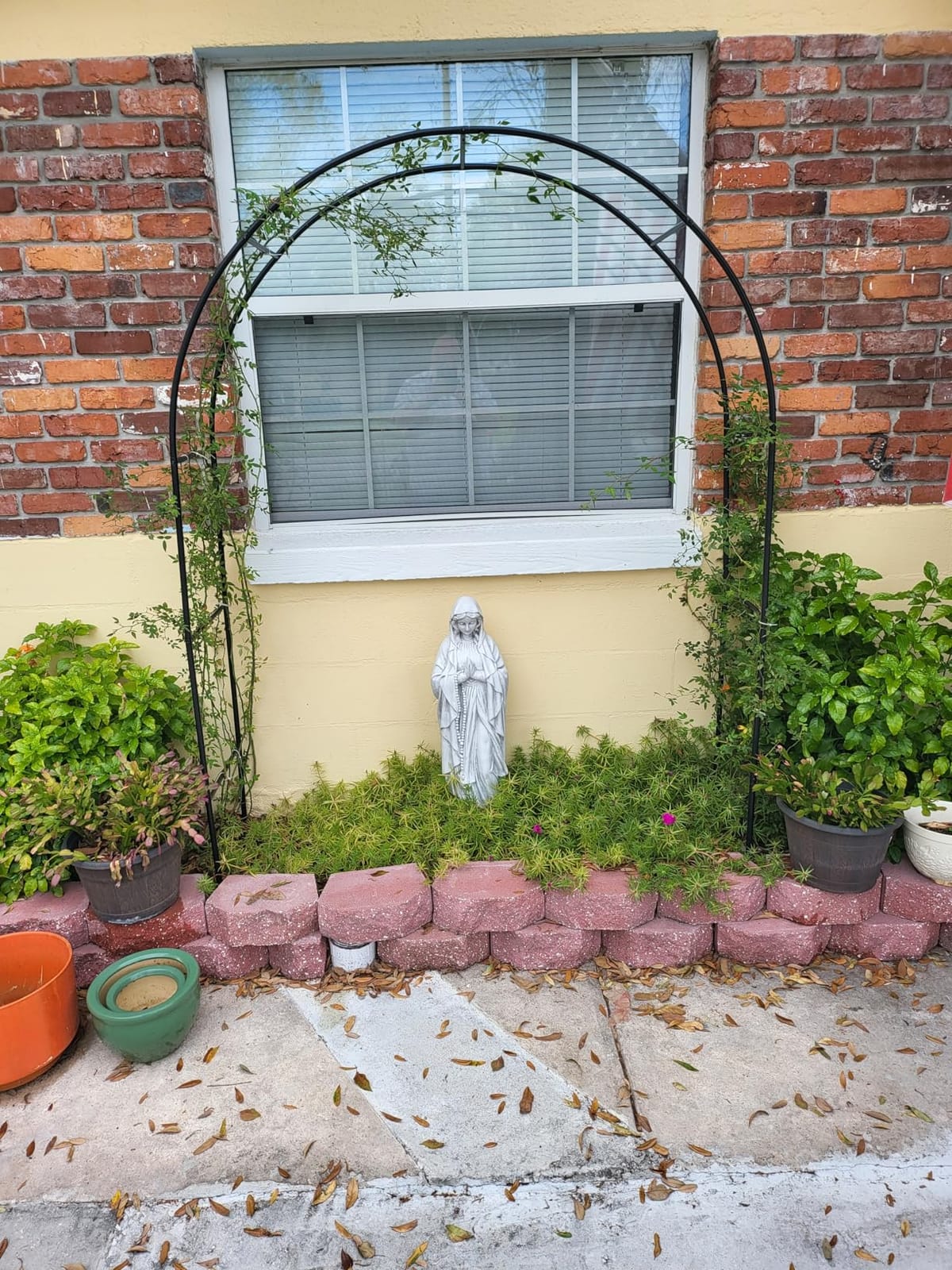 Garden Arch Trellis for Climbing Plants Outdoor Wedding Arches for Ceremony Black Metal Garden Arbor Indoor Garden Arches for Party Decoration 7.9ft Wide X 6.4ft High (Black Garden Arch) customer photo 1