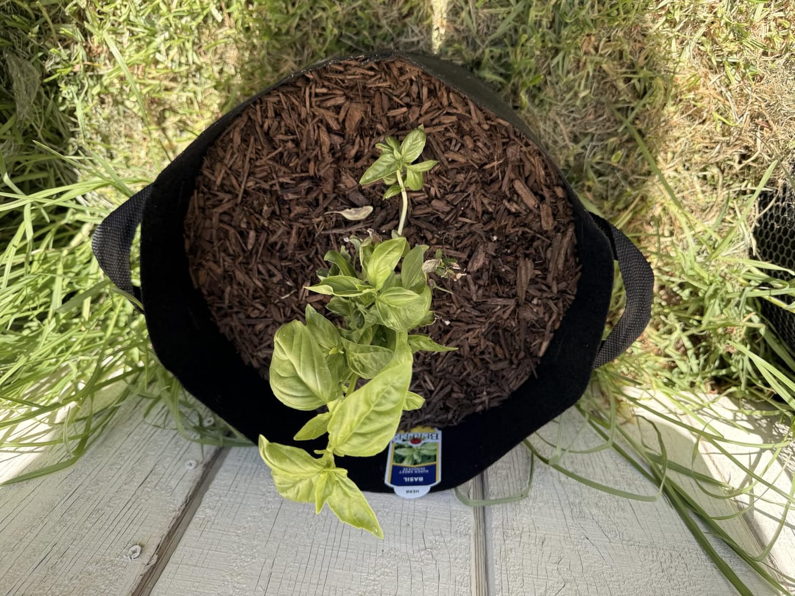 Land Guard 4-Pack Fabric Grow Bags 5 Gallon, Thickened Nonwoven Garden Pots, Growing Bags with Handles, Black customer photo 2