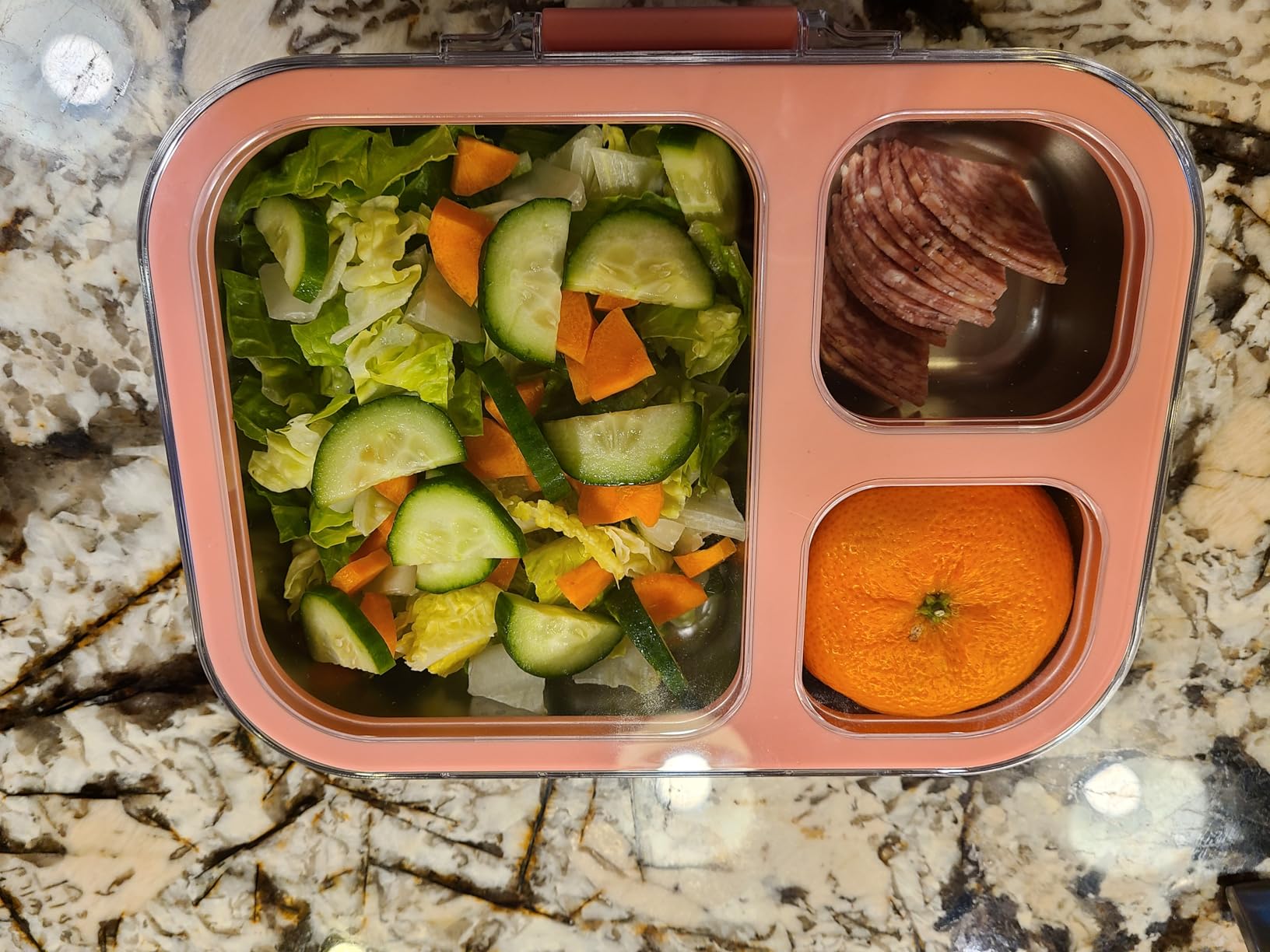 HOMEKOL Stainless Steel Bento Lunch Box, Blue, 3.3Cups customer photo 1